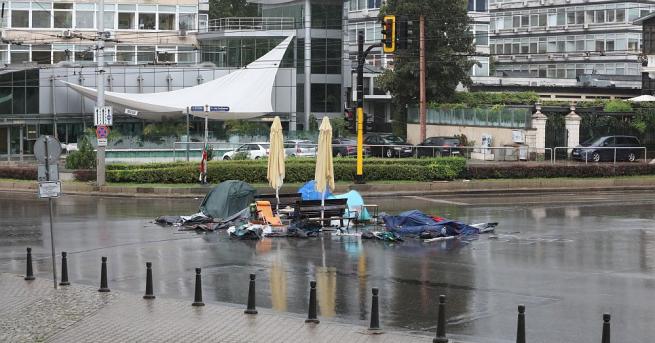 Бурята прогони протестиращите от центъра на София, а вятърът събори
