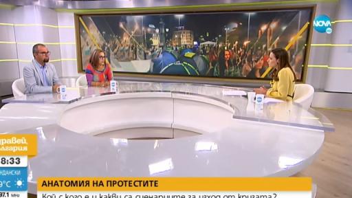  Политолог: Протестите замязяха на предизборна акция 