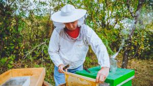 Нови помощи отпусна фонд земеделие на лозари животновъди и пчелари