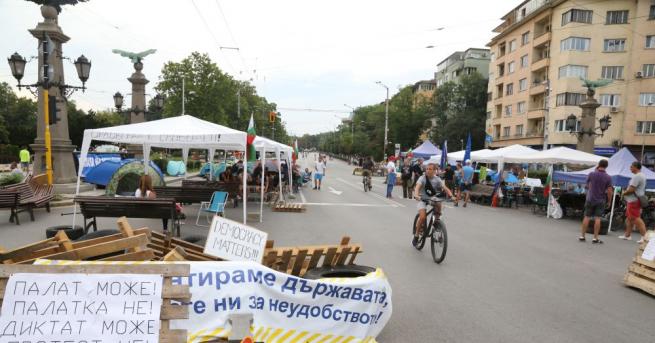 Недоволни се събират в Триъгълника на власт за 41 ва вечер