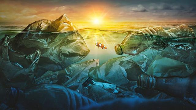 Антарктически микроби могат да помогнат за почистване на водите от пластмаса