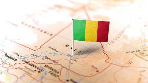 Военната хунта в Мали нареди на датските специални сили да