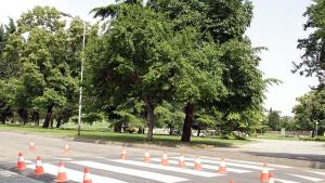 пешеходна пътека