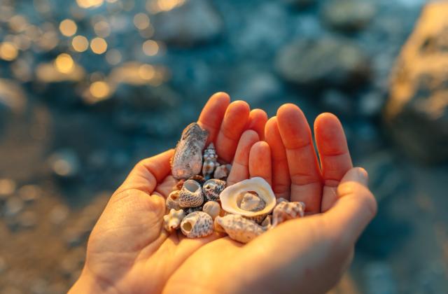 Гърция въвежда нов пакет от строги глоби за туристи, които