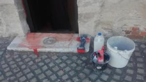 ВМРО Света Петка