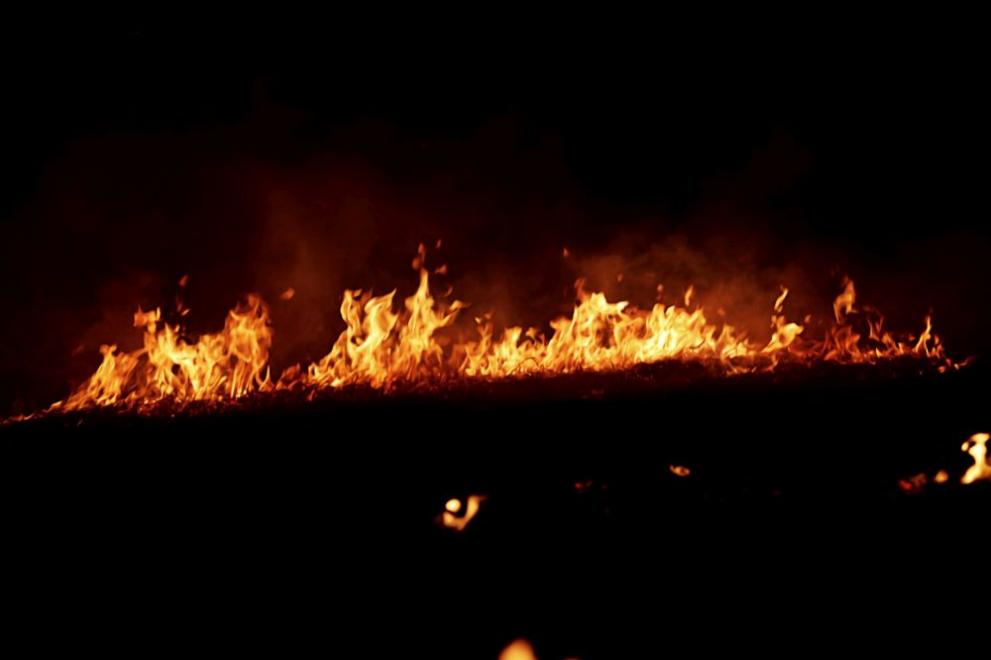 Огнеборци от Петрич и Сандански гасят пожара