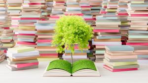 подвързии книги