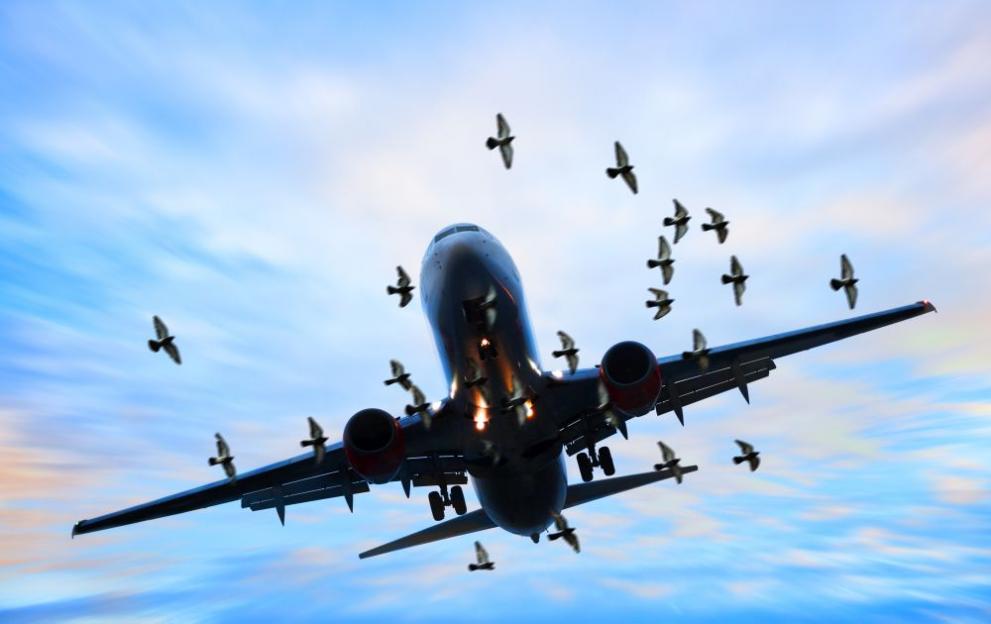 Сблъсък с птица приземи принудително самолета на Пенс