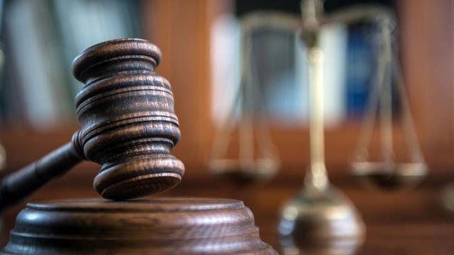 Адвокат се появи в образа на котка на онлайн съдебно заседание (ВИДЕО)