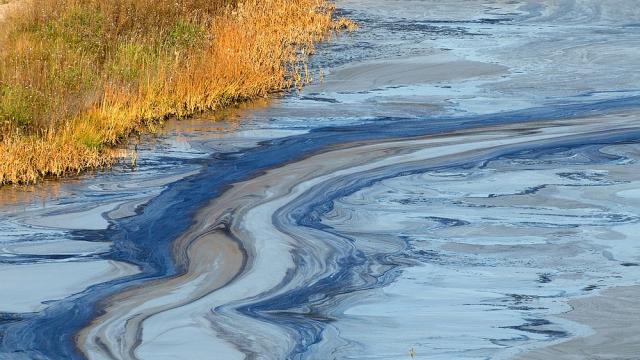 Почистват нефтени разливи с човешка коса (СНИМКИ)