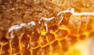 Ковид-19, чудото на меда и защо не е панацея