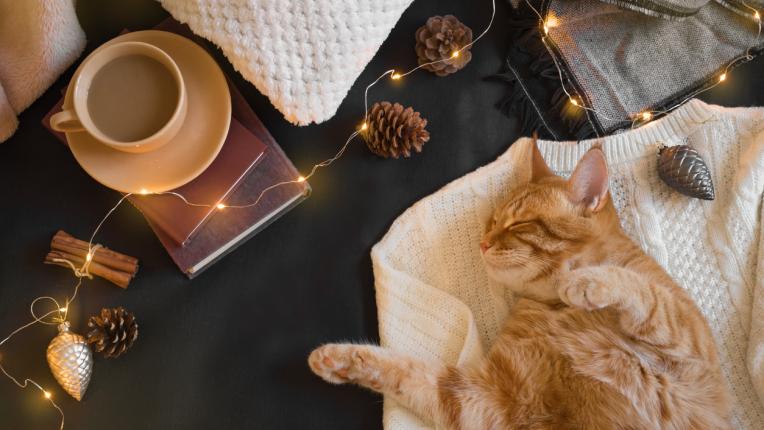  Седмичен хороскоп за 11-17 октомври 