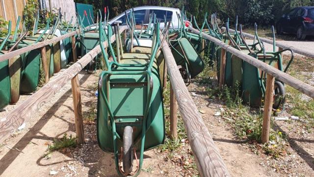 Французите възпитават децата си като ги водят на пазар в зеленчуковите ферми
