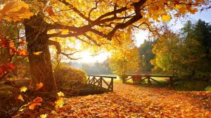 В първия ден на октомври ще преобладава слънчево време Увеличения