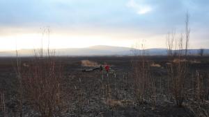 Драгоманското блато