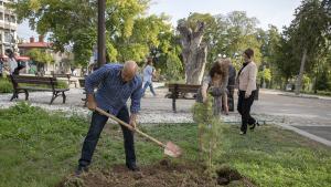 залесяване