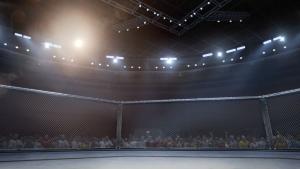 UFC ринг ММА