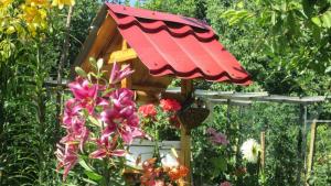 цветна градина балкон