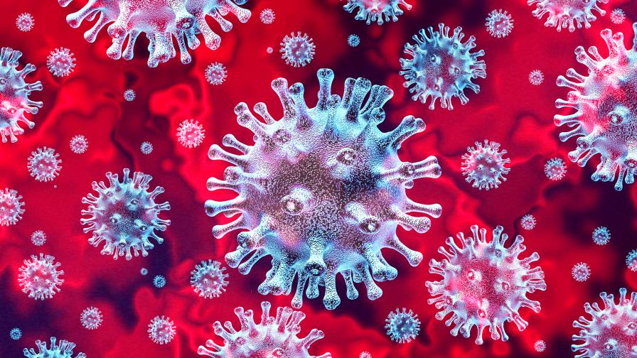 СЗО: Ваксините няма да спрат коронавируса