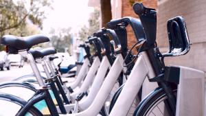 колела под наем