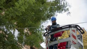 монтиране коледна украса Стара Загора