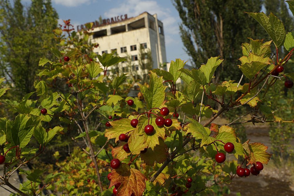 Призрачният Припят