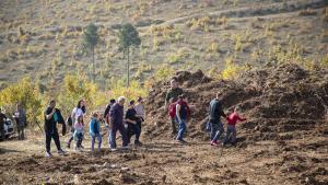 Засаждат хиляди фиданки от цер