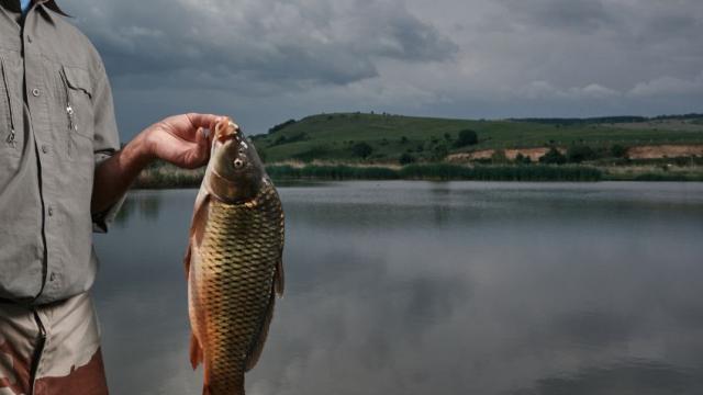 Лаком рибар глътна жива риба, спасиха го на косъм от задушаване