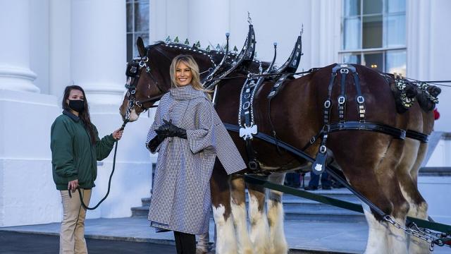 Коледа в Белия дом - Мелания Тръмп посрещна сама елхата (ГАЛЕРИЯ)