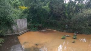 река Струма