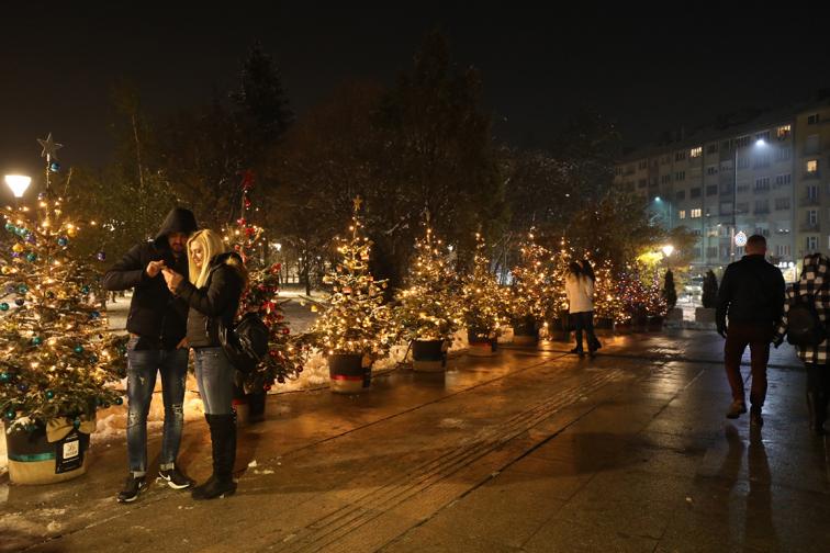Коледната елха в София грейна без празнична програма елха коледа