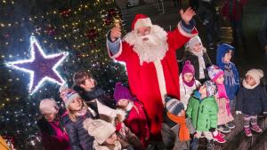 Пловдив елха Коледа