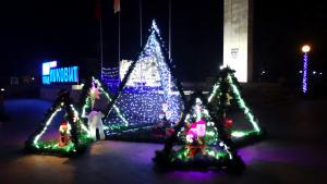 Луковит коледна украса