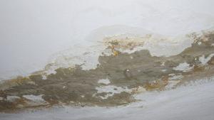 протекъл таван