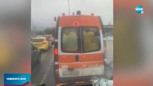 линейка зеле