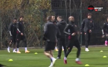 native ad suggested news position relative margin bottom 40px width 100 padding 20px