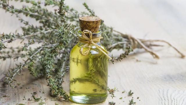 Билките на дълголетието: Древни тайни за модерно здраве