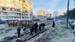 Варна дървета засаждане