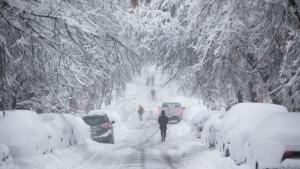 Обилен снеговалеж причини смъртта на 17 човека в Япония над