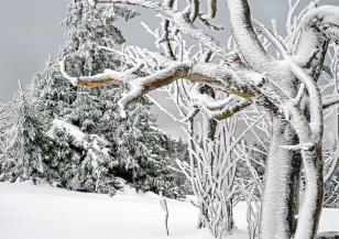 Спасителни акции в Стара планина