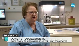 Радка Аргирова