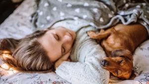 Дори кратката дрямка може да „рестартира“ човешкия мозък