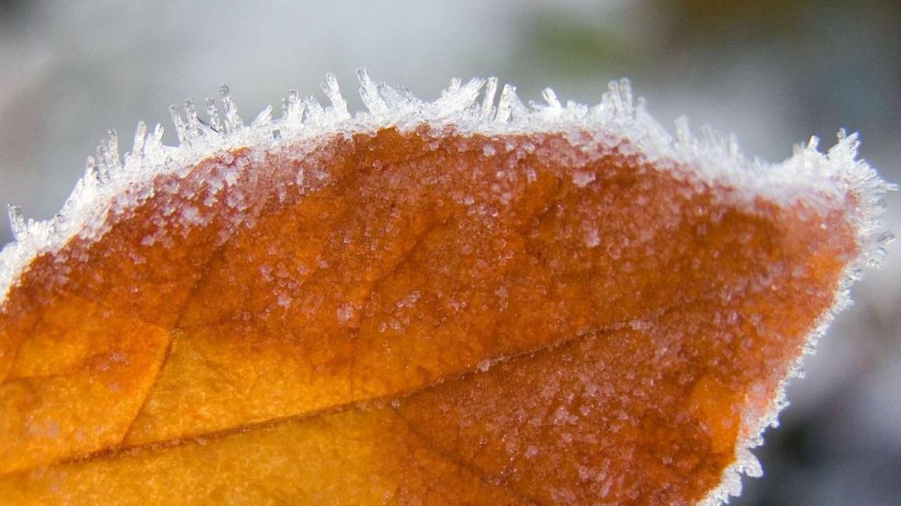 Илюстративна снимка