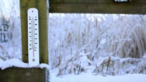 термометър студ