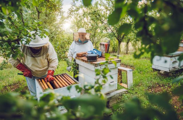 Държавен фонд Земеделие“ (ДФЗ) удължава до 31 юли 2024 г.