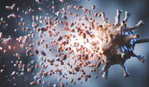 Най-опасните вируси в света, ето къде се изследват