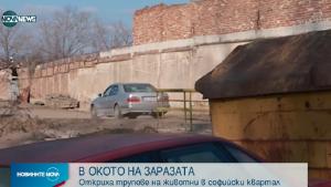 животни Челопечене