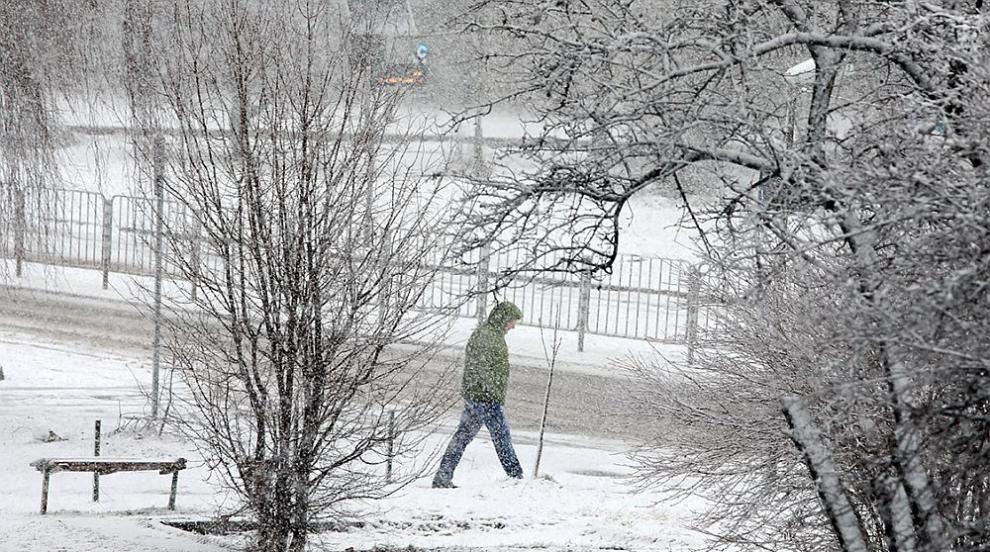 Пухкав бял сняг се сипе над София (ГАЛЕРИЯ)