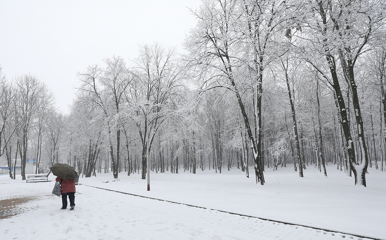 <p>Северен парк, София</p>