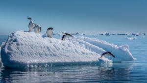 Съвременни научни изследвания в отдалечените полярни райони на Антарктика и